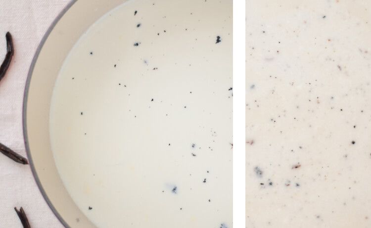 light vanilla bean ice cream light vanilla bean ice cream