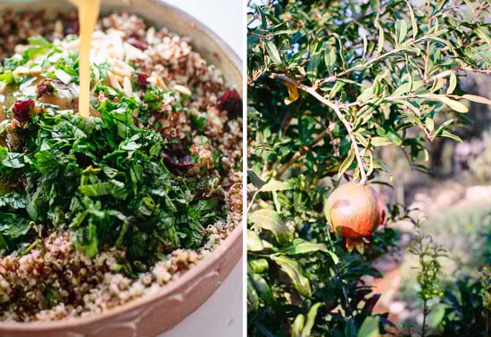 quinoa, herb and pomegranate salad