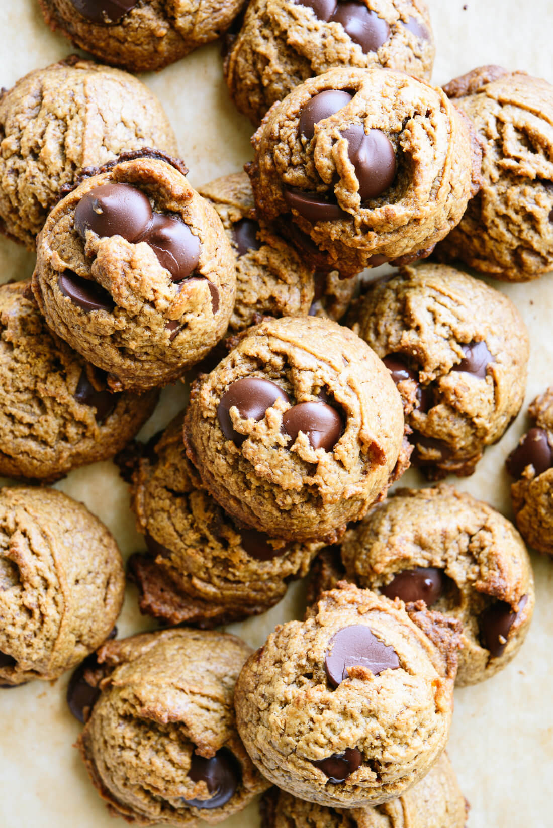 Peanut Butter Chocolate Chip Cookies