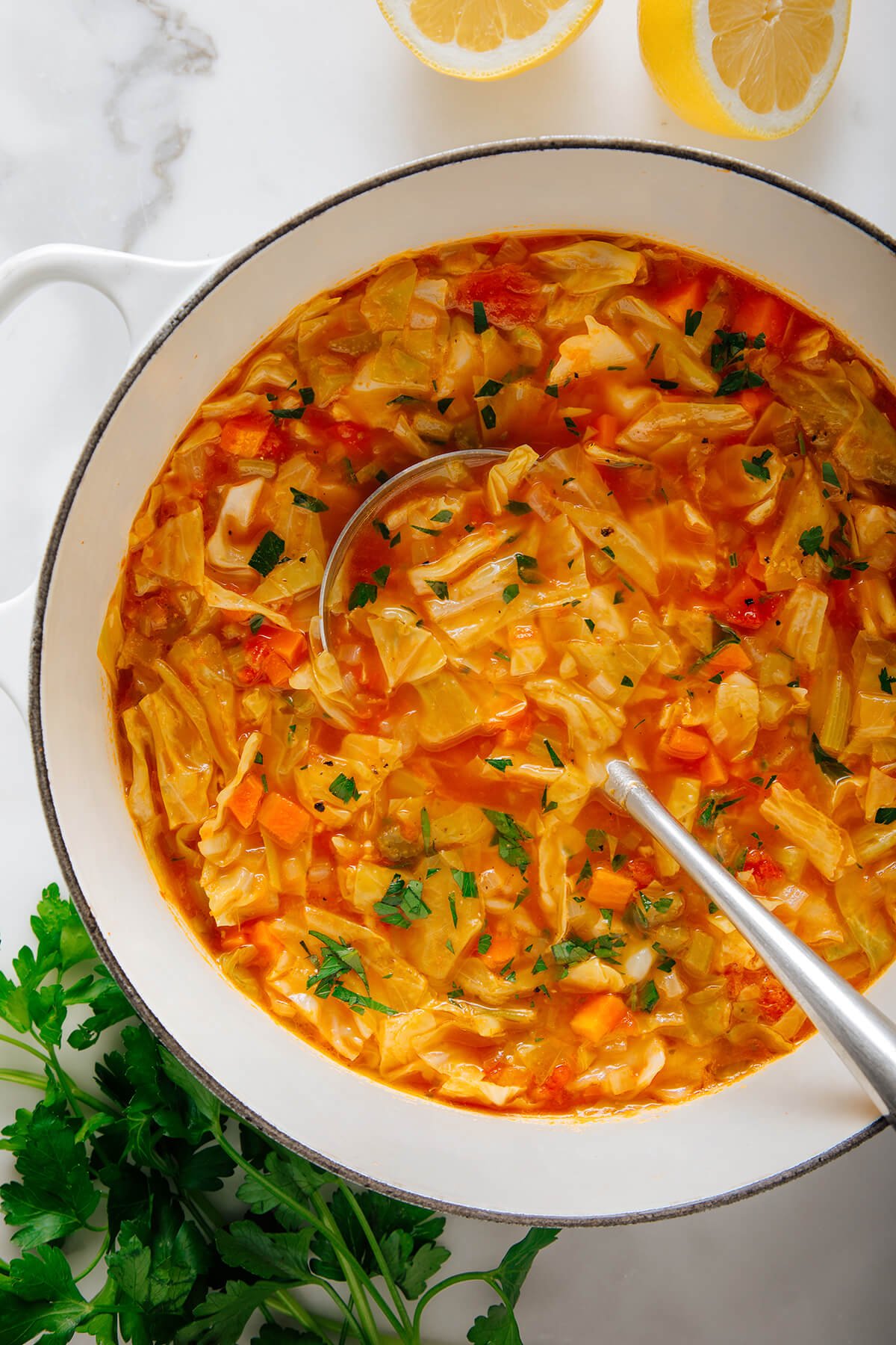 cabbage soup in pot